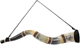 Berrante Profissional Médio SV3279