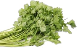 Sementes de Hortaliças, Variedades Diversas, Monte seu Kit Personalizado (Coentro Verdão 10 Sementes)