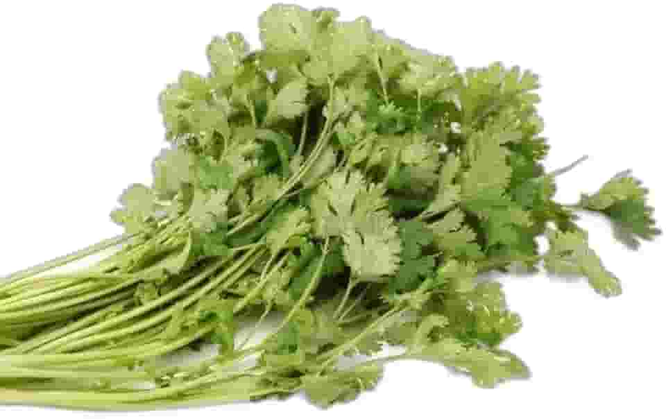 Sementes de Hortaliças, Variedades Diversas, Monte seu Kit Personalizado (Coentro Verdão 10 Sementes)