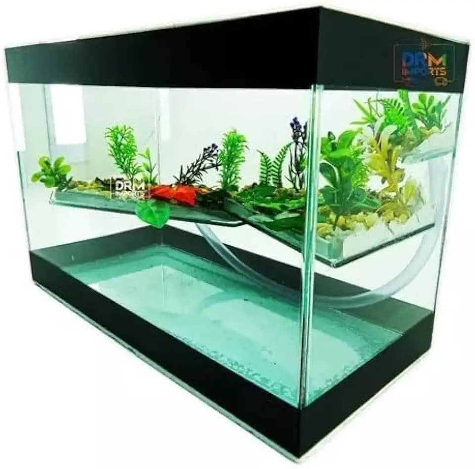 Aquário Terrario Decorado N3 30x14x19 Para Tartarugas Peixes