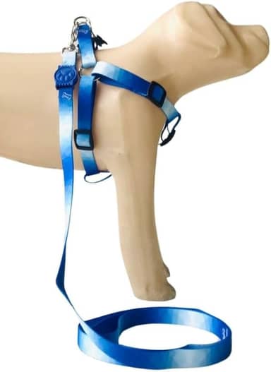 Conjunto Peitoral Coleira com Guia para Cachorros com Pingente para Identificação PP, Tamanho Ajustável, Confortável e Resistente