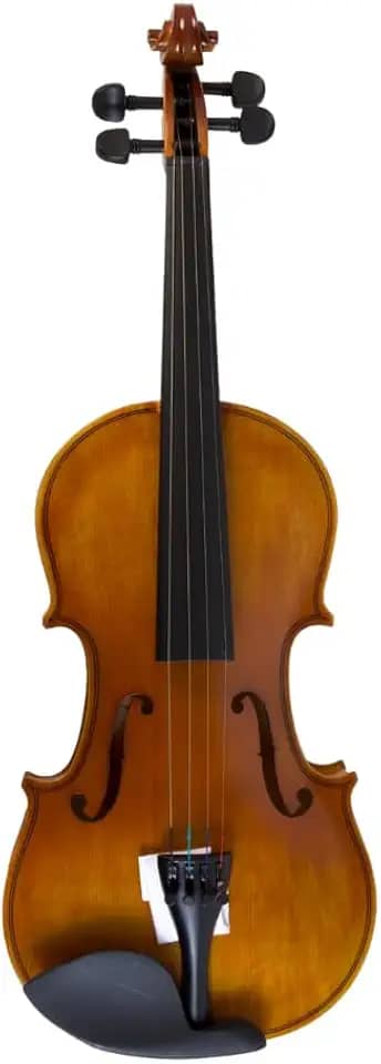Violino Benson Bvr302 4/4 Profissional Completo