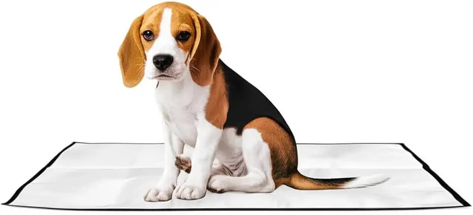 Tapete Higiênico Pet Lavável Reutilizável - Absorvente e Impermeável Para Cães e Gatos – Antivazamento 70x50cm