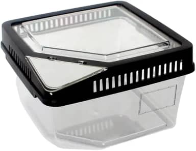 Terrario De Acrilico Para Pequenos Répteis H-7 Preto Nomoy Pet