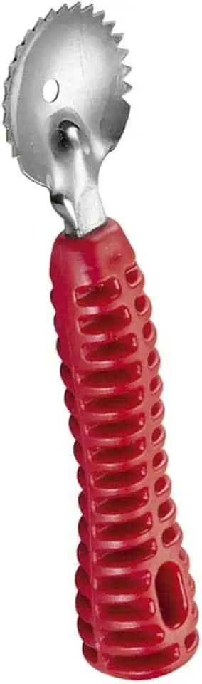 Raspa Coco Inox Cabo De Plástico Keita