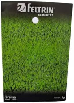 Semente De Grama São Carlos Folha Larga 6.000 Sementes 3g