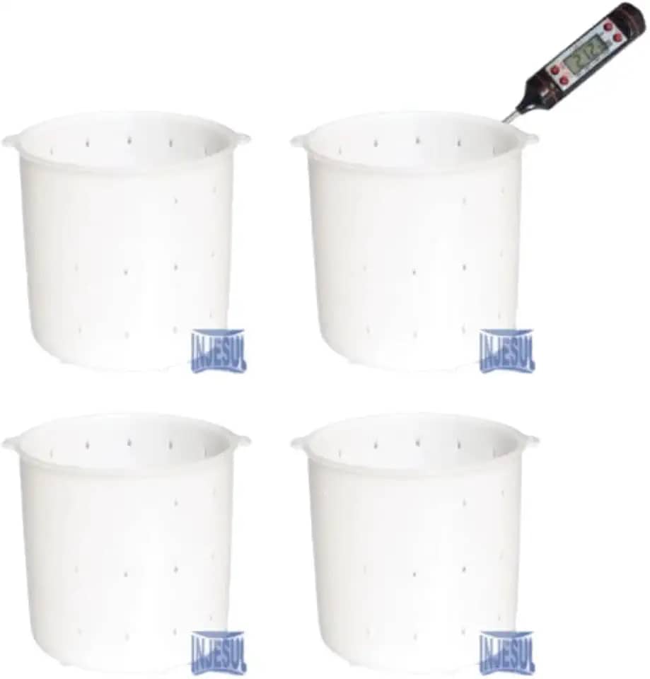 Kit 4 Formas de Queijo Minas Frescal Especial 500g + termômetro