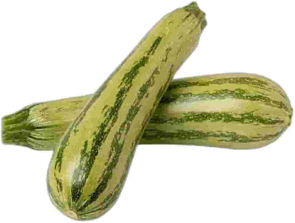 Sementes de Hortaliças, Variedades Diversas, Monte seu Kit Personalizado (Abobrinha de tronco Caserta 5 Sementes)