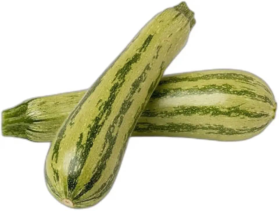 Sementes de Hortaliças, Variedades Diversas, Monte seu Kit Personalizado (Abobrinha de tronco Caserta 5 Sementes)