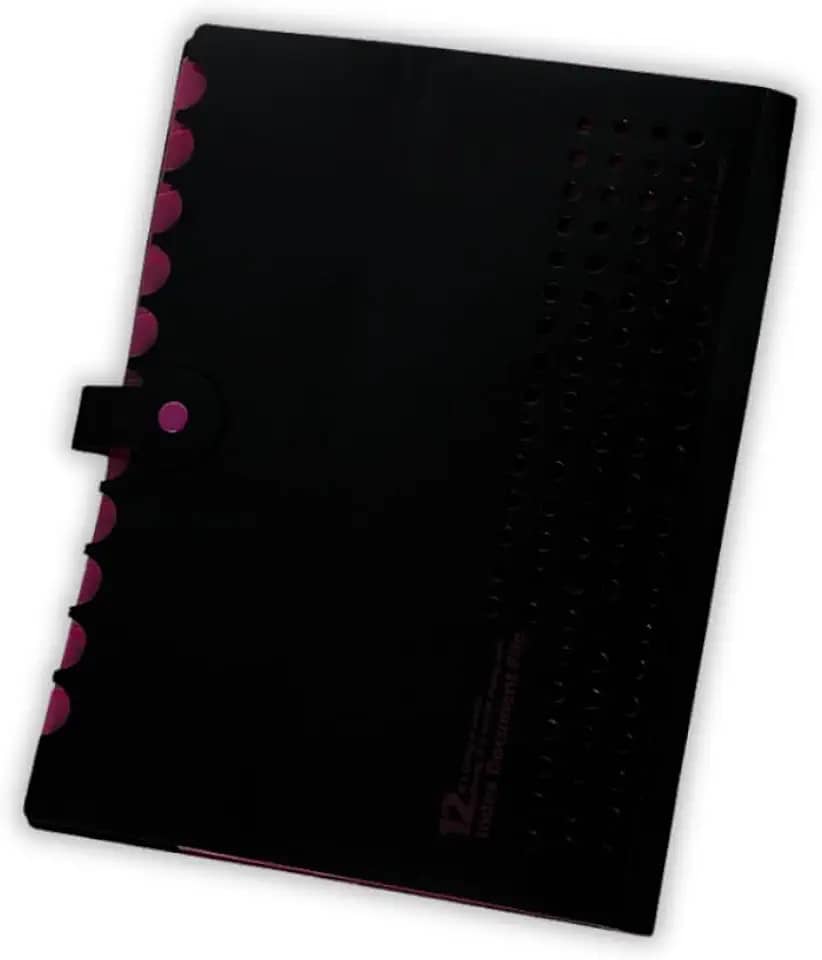 Pasta Sanfonada Catalogo A4 com 5 Divisórias Organizador de Documentos Neon Escritorio Escola Arquivo Papel Sulfite (Rosa)