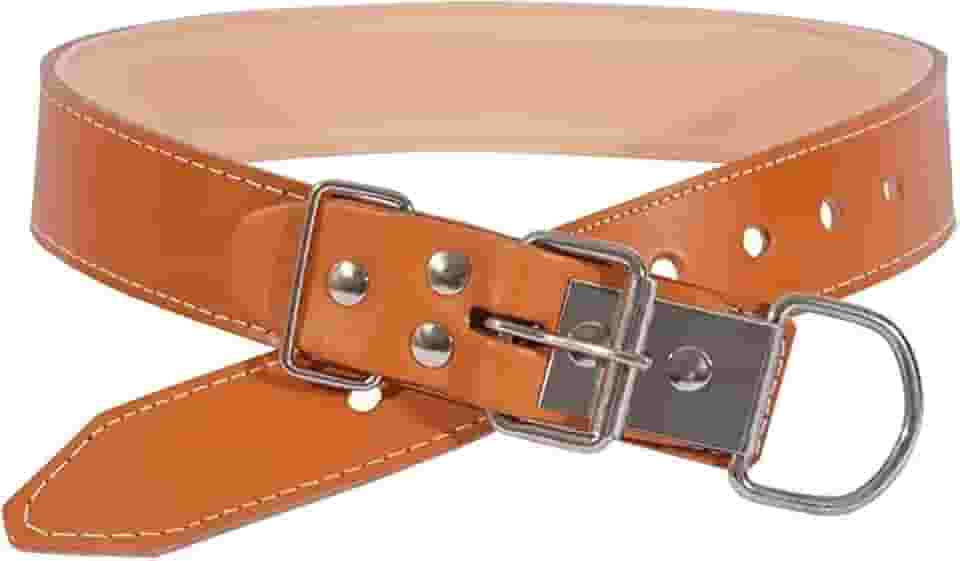 Coleira Em Couro Para Cão Porte Grande Luxo Caramelo Premium N.9 e N.10 (10, Caramelo)