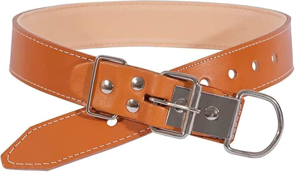 Coleira Em Couro Para Cão Porte Grande Luxo Caramelo Premium N.9 e N.10 (9, Caramelo)