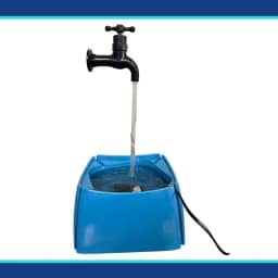 Bebedouro Para Gato Cachorro Torneira Mágica Fonte De Água 1,8 Litros Bivolt Mec Pet (Azul, Médio)
