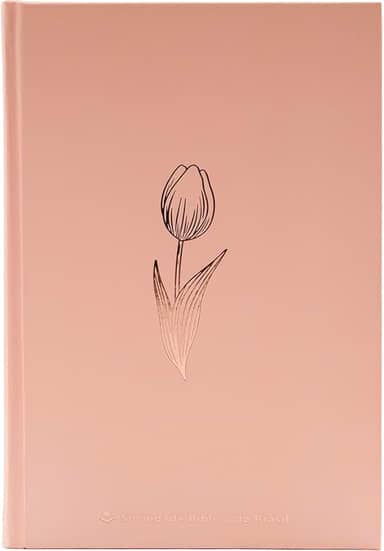 Bíblia NAA, Rose Tan, Capa Dura | SBB | Capa dura ilustrada, rose: Nova Almeida Atualizada (NAA)