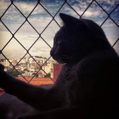 Kit Completo Rede Tela De Proteção Para Sacadas Janelas Gatos Crianças - 1m X 0,8m