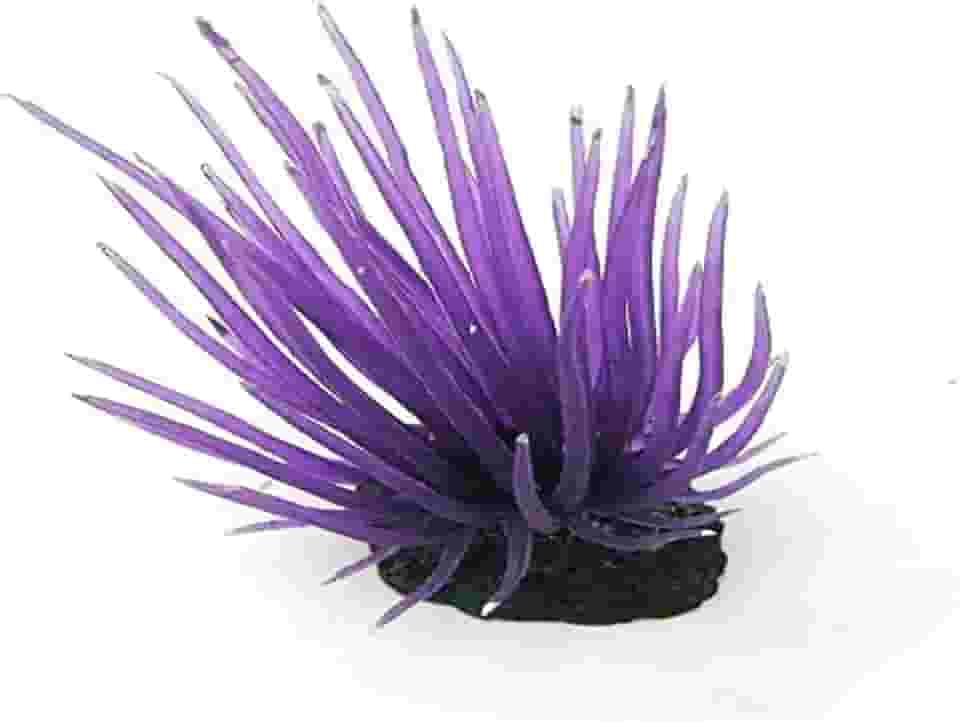 SOMA - Enfeite de Silicone Anemona Long Tentacle ROXA