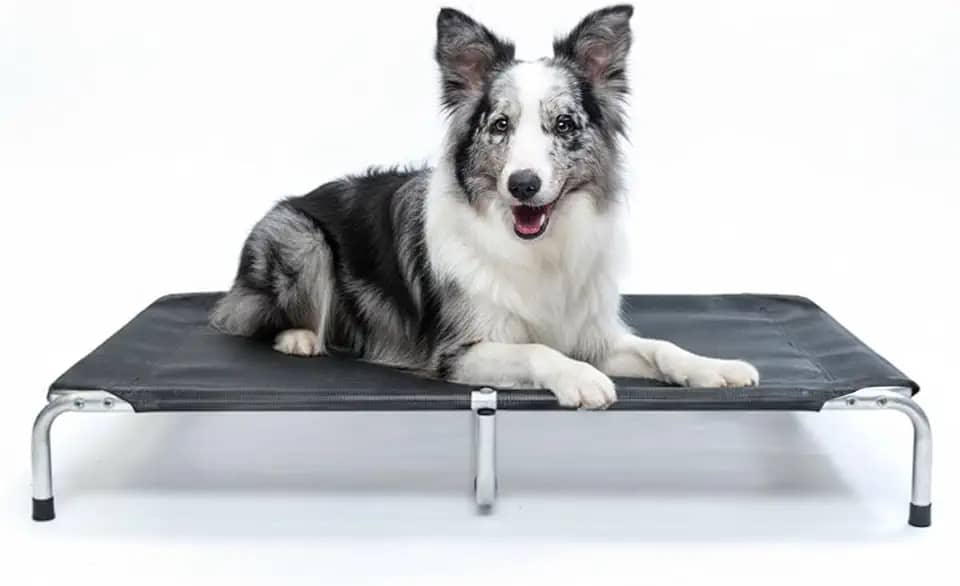 Cama Suspensa Elevada Pet para Cachorro Leve Resistente Aluminio 90x60cm Tamanho G Suporta Até 50kg - Dogets (Preta)