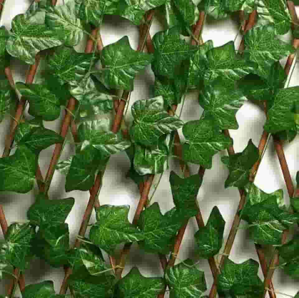 Kit 3 Treliças Sanfonadas Painel Madeira Expansível Cerca Hera Gradil De Plastico Com 2m Cada (Lisa Uva)