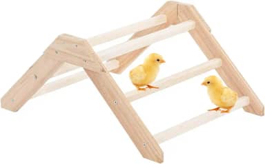 Poleiro Para Galinheiro - Suporte De Treinamento Em Para Pintinhos | Poleiros Antiderrapantes Para Treinamento De Aves Periquitos Gerbilos Hamsters