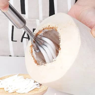 Ralador de coco multiuso de aço inoxidável, removedor de carne, melão, frutas, vegetais, escama de peixe, utensílios de cozinha