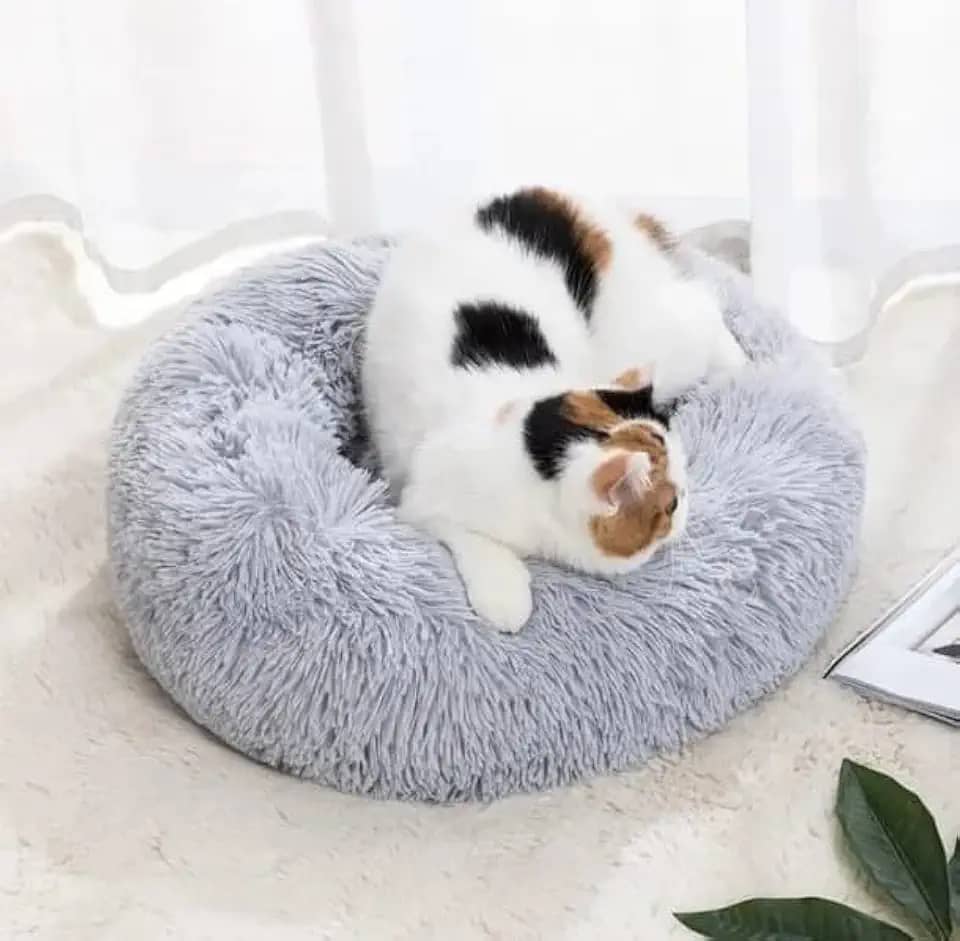 CAMINHA DONUT NUVEM PET PELUCIA G REDONDA CAMA PELUCIADA NINHO CASINHA CASA COLCHONETE Cachorros E Gatos PELUCIADO FUNDO ANTIDERRAPANTE QUALIDADE PREMIUM G 60CM (CINZA)