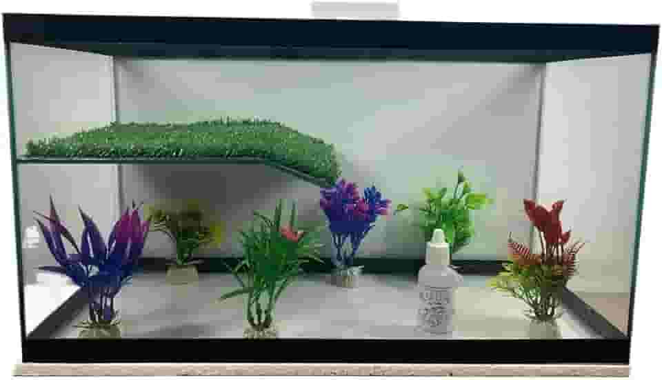 aquário para tartaruga 22 litros aquaterrario 45 * 20 * 25 (ENFEITADO)