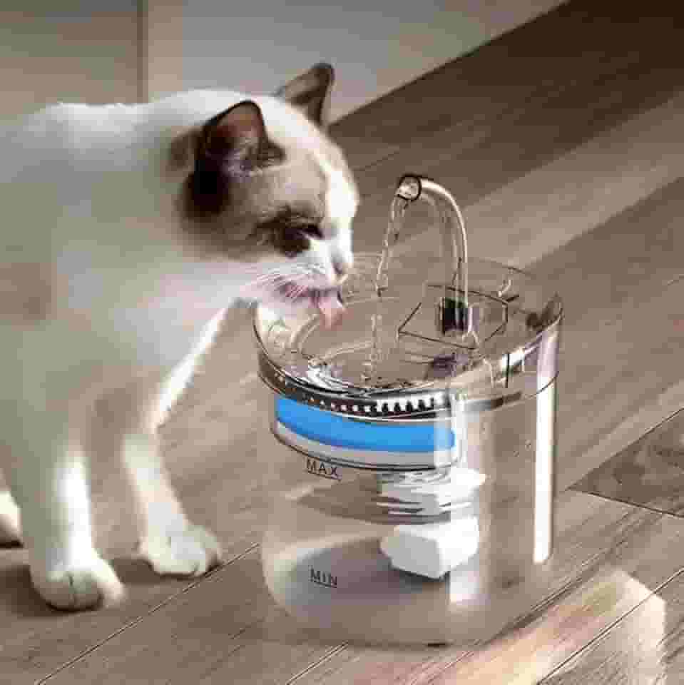 Bebedouro Automático para Gatos com Fonte de Água Circulante, LED, 1.8L, Transparente e Branco