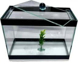Aquario para peixes pequenos tipo Betta Retangular 20 cm - Sem Pedra