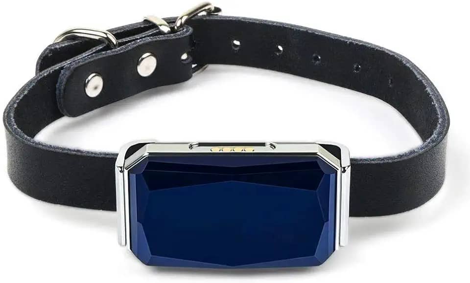 Localizador de Pet Coleira Rastreadora GPS para Cachorro e Gato Anti-Perdida IP67 Posicionamento Preciso Rastreamento Real Vários Alarmes Geo-Fence Gerenciamento Remoto Carregamento USB Compacto Leve