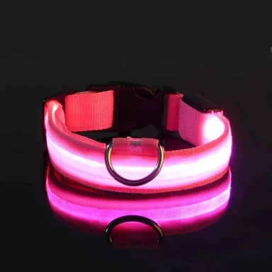 Coleira LED para Cães Recarregável por USB – Ajustável, Visível à Noite, Alta Segurança para Passeios (Rosa, M)