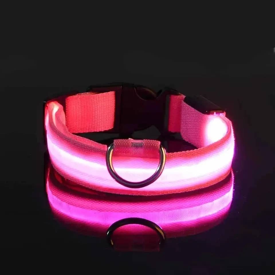 Coleira LED para Cães Recarregável por USB – Ajustável, Visível à Noite, Alta Segurança para Passeios (Rosa, M)