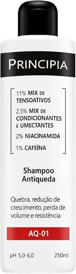 SHAMPOO ANTIQUEDA PRINCIPIA