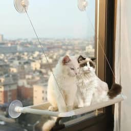 Cama Suspensa de Janela Portátil para Gatos com Ventosas Fácil Instalação