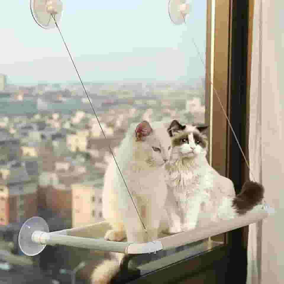 Cama Suspensa de Janela Portátil para Gatos com Ventosas Fácil Instalação