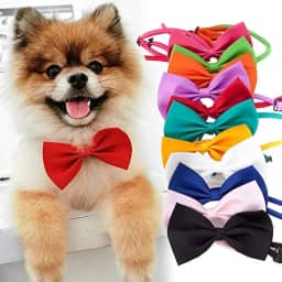 Bandana Pet Gravata Borboleta Ajustável Para Cachorro Cães Gatos Coelhos