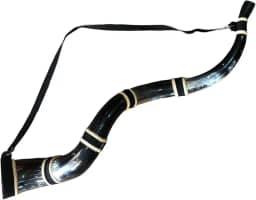 Berrante Profissonal Chifre de Boi Grande Excelente Som