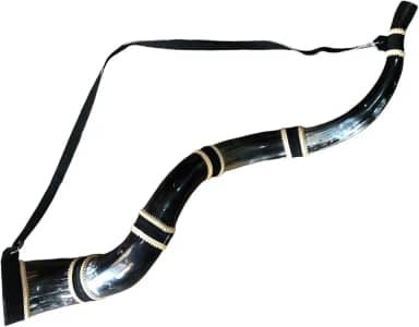 Berrante Profissonal Chifre de Boi Grande Excelente Som