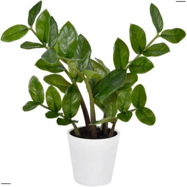 Zamioculca No Vaso Planta Artificial Com Toque Real Com 6 Galhos