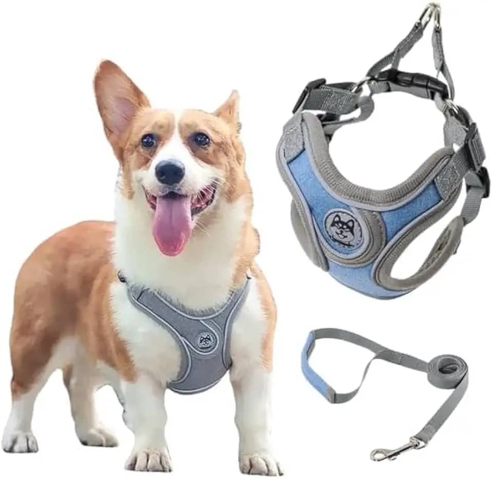 Coleira Peitoral para Cachorros Ajustável com Guia de Passeio (Rosa, P)