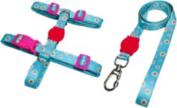 Coleira Peitoral H Anti Puxão e Guia 1,10m para Cachorro Varias Estampas(Margaridas,P)
