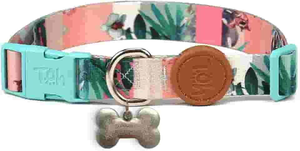 Toh Coleira Avulsa Com Tag Id Laguna Pp