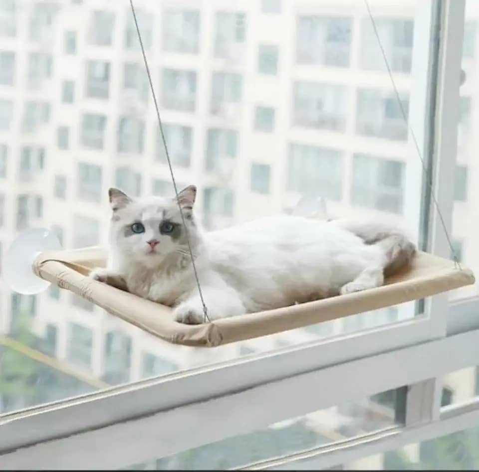 Cama de Janela Suspensa para Gatos com Ventosa