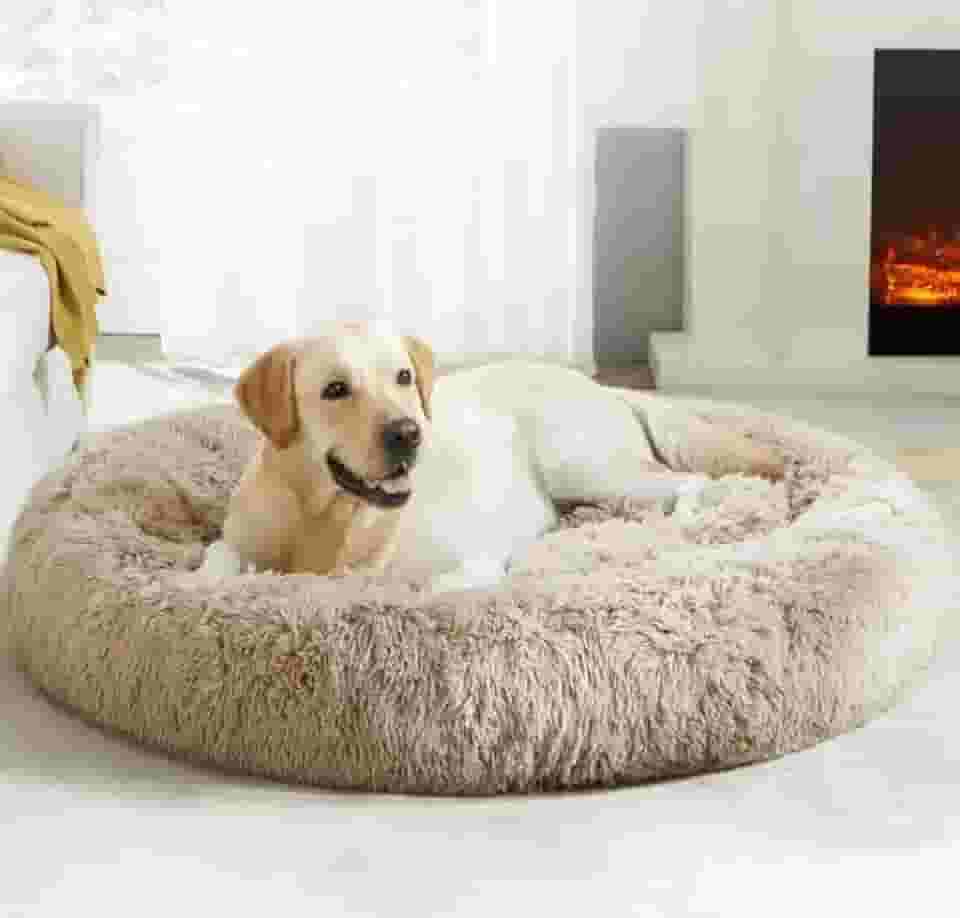 CAMINHA DONUT NUVEM PET PELUCIA G REDONDA CAMA PELUCIADA NINHO CASINHA CASA COLCHONETE Cachorros E Gatos PELUCIADO FUNDO ANTIDERRAPANTE QUALIDADE PREMIUM G 60CM (CREME)