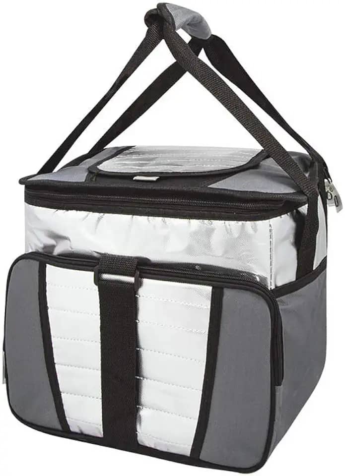 Mor - Ice Cooler 24 Litros com 1 Divisória