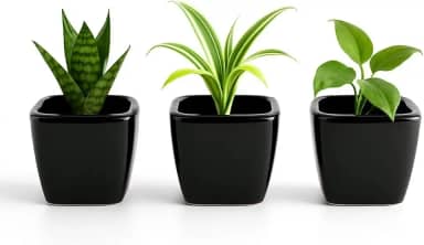 Kit 3 Mini Vasos De Cerâmica Preto Ou Branco, Estilo Minimalista, Ideal Para Suculentas, Arranjos E Decoração De Casa Ou Escritório (Preto, 4,5 de Altura)