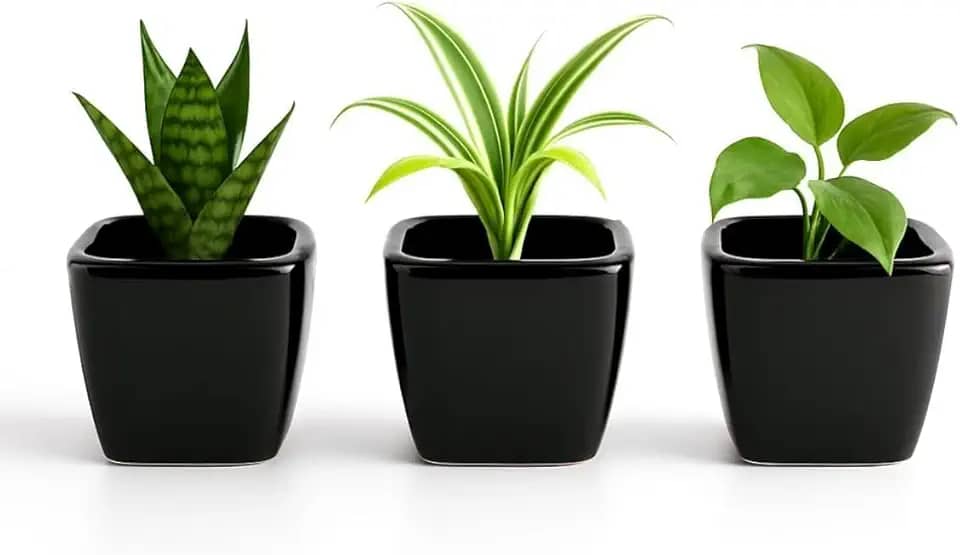 Kit 3 Mini Vasos De Cerâmica Preto Ou Branco, Estilo Minimalista, Ideal Para Suculentas, Arranjos E Decoração De Casa Ou Escritório (Preto, 4,5 de Altura)