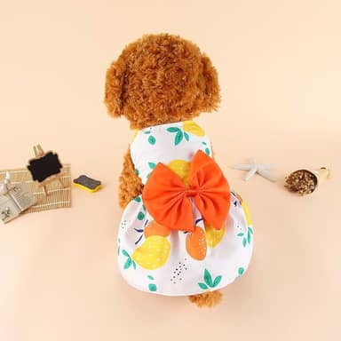 1 vestido de cachorro elegante para o verão - Roupa para animais de estimação com respirabilidade e conforto; design moderno; fácil de limpar, laranja, GG