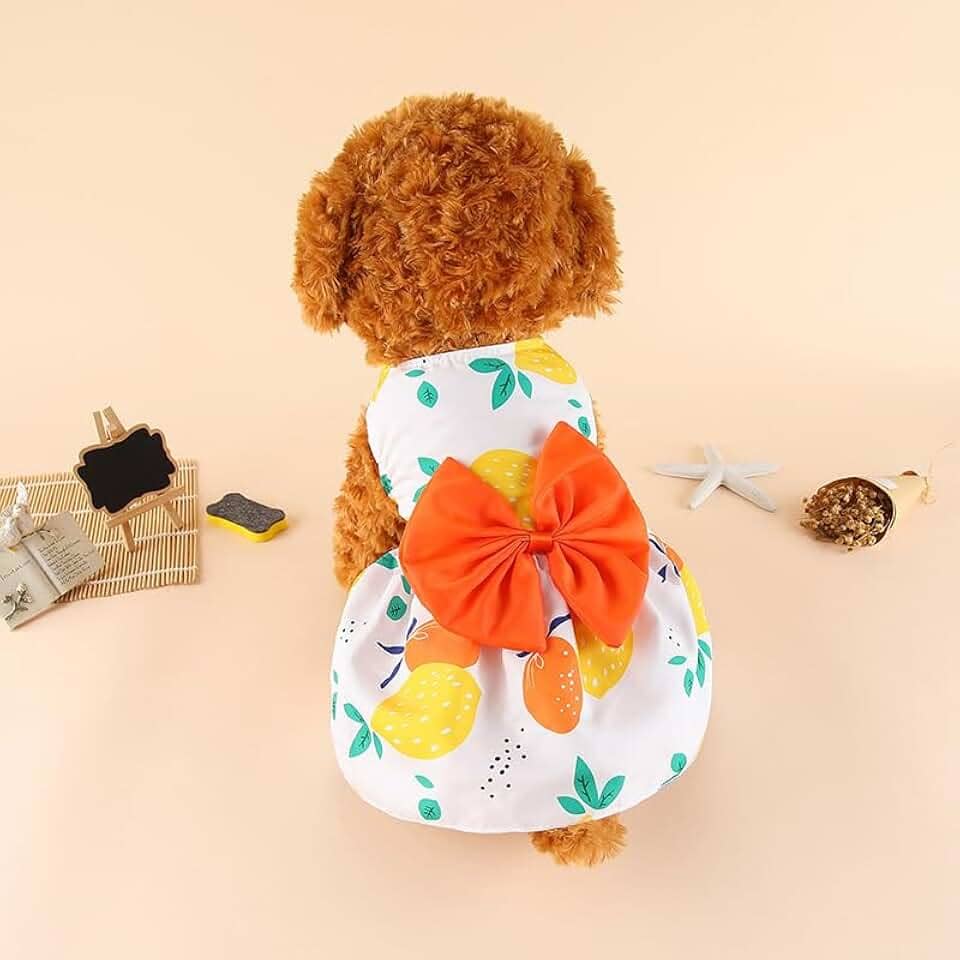 1 vestido de cachorro elegante para o verão - Roupa para animais de estimação com respirabilidade e conforto; design moderno; fácil de limpar, laranja, GG
