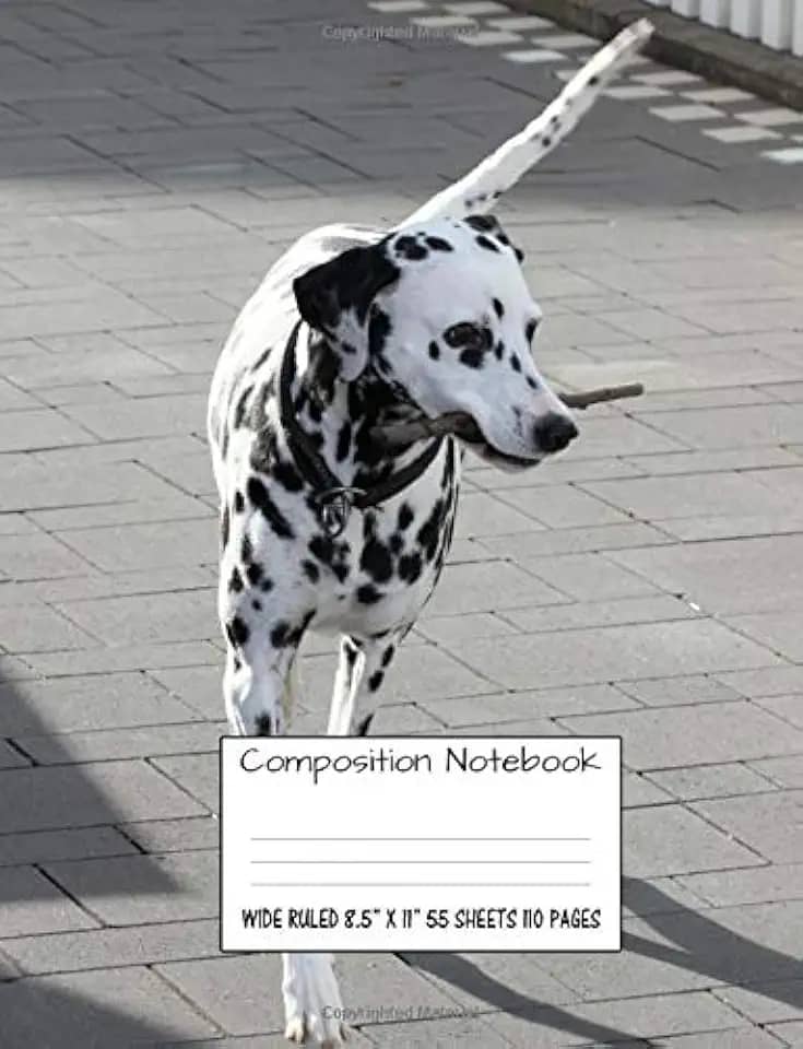 SmartPhone - Fotos im Griff