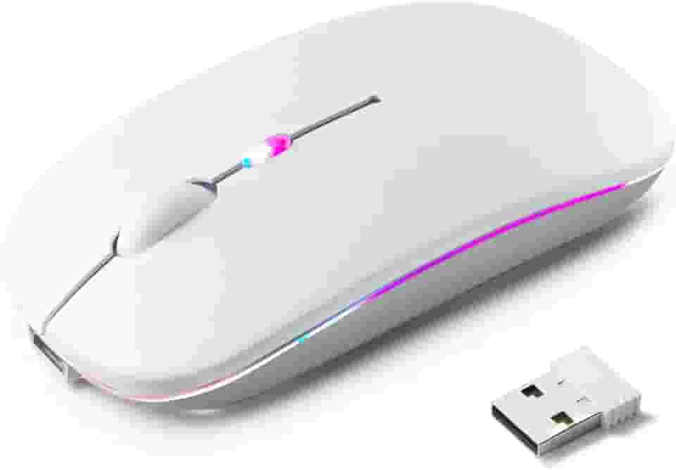 Mouse Sem Fio Recarregável, Ergonômico, com Led RGB, Conexão Dual Bluetooth 5.0/USB 2.4GHz, DPI Ajustável, perfeito para Notebook, Laptop,PC, Desktop, Silencioso (Branco)